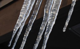 Camping Tip of the Day: Visit the Campground Before Making the&nbsp;Reservation