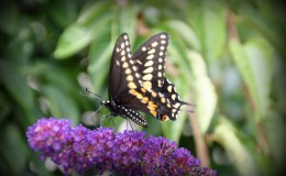 Finally the sun&nbsp;returns!