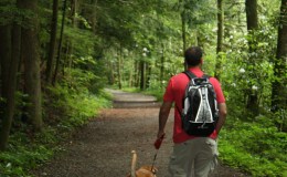 Happy National Dog&nbsp;Day!