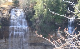 Fall Creek Falls State&nbsp;Park