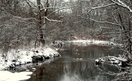 Dudley Woods, Liberty Twp.&nbsp;OH