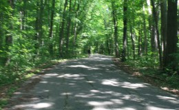 Turkey Run State Park, Marshall&nbsp;IN