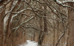 Sugarcreek Metro Park&nbsp;Trail